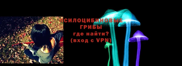 дурь Мегион