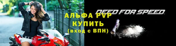 стаф Медвежьегорск
