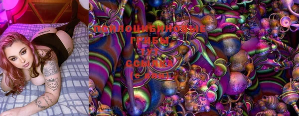дурь Мегион