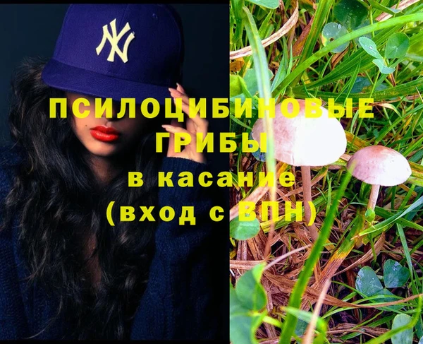 амф Медногорск