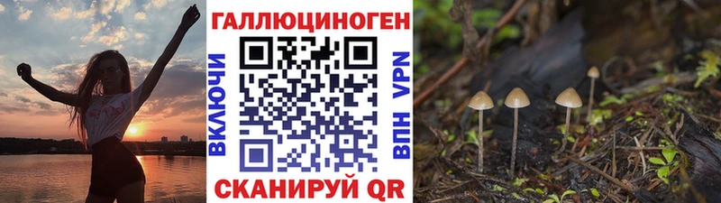 магазин продажи   Электроугли  Галлюциногенные грибы прущие грибы 